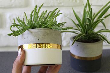 Concrete gold plant pot